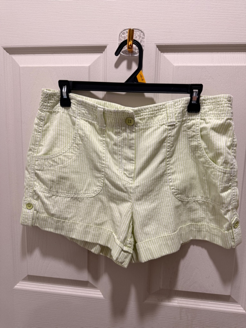 LOFT Pale Green Striped Women's Shorts